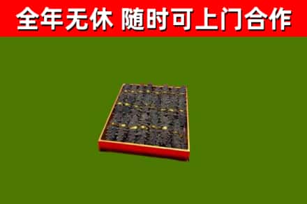 故城回收海参